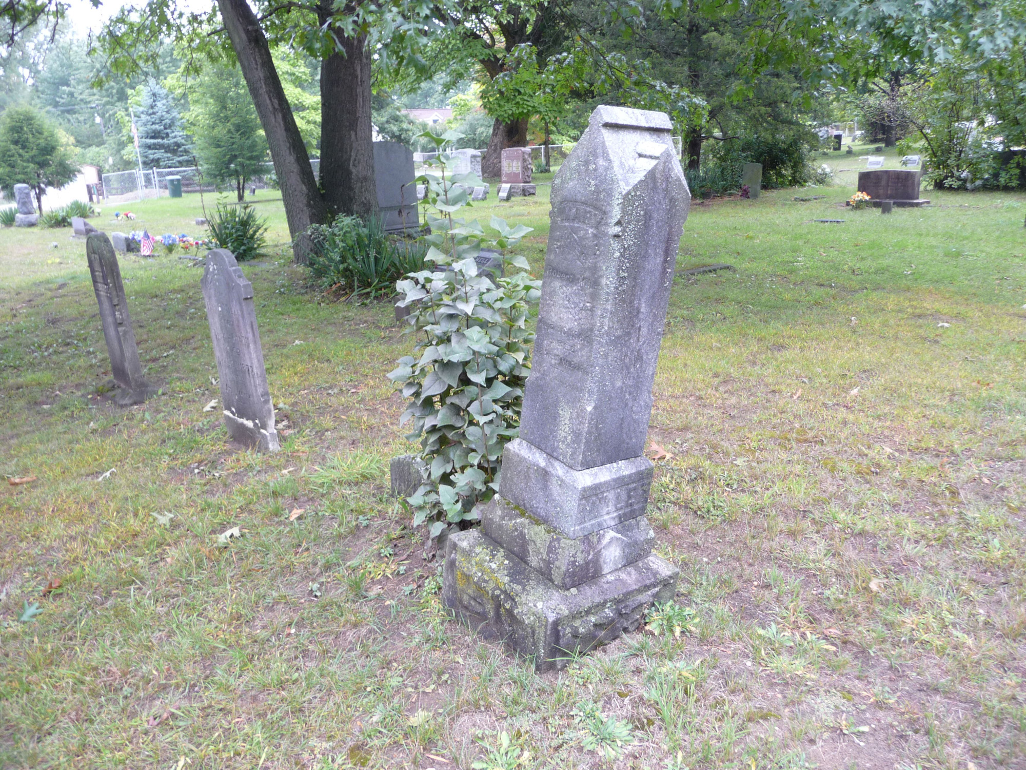 Martinsville Cemetery, old Sumpter, Wayne County, Michigan